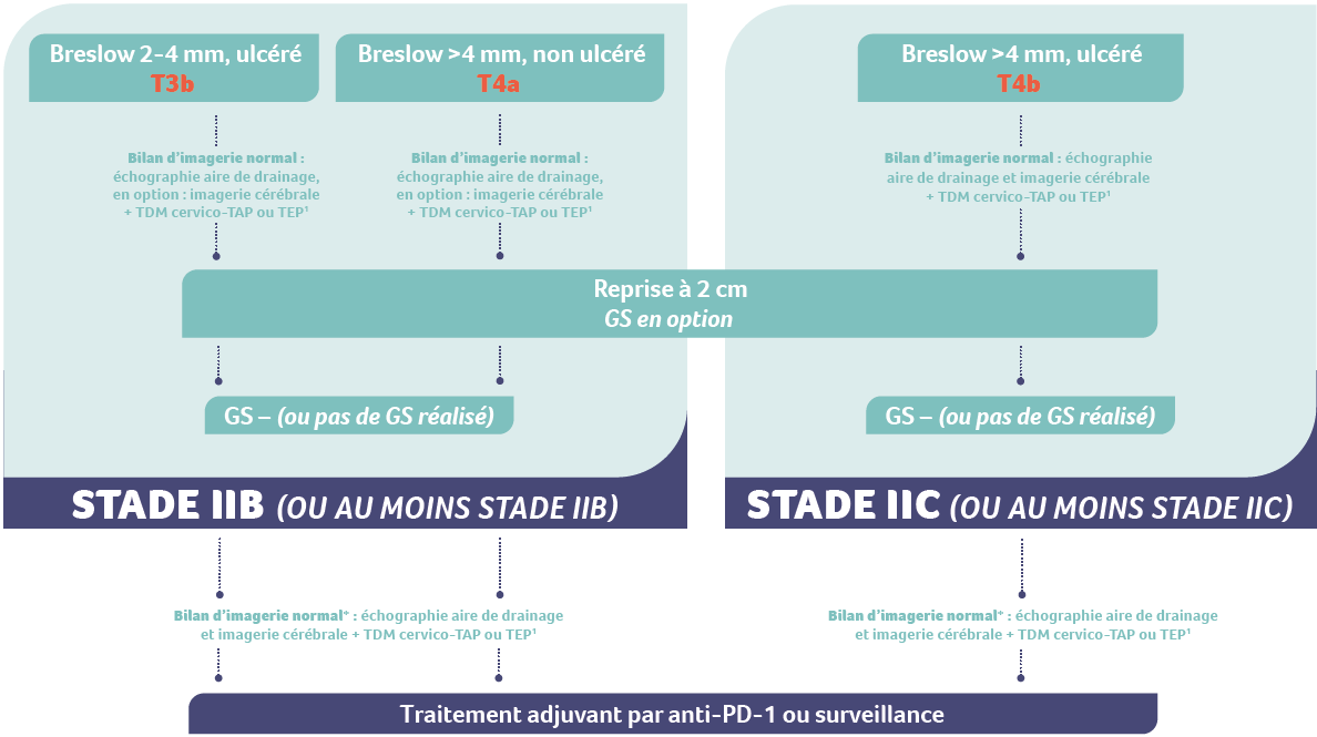 algorithme melanome stade 2b-2c